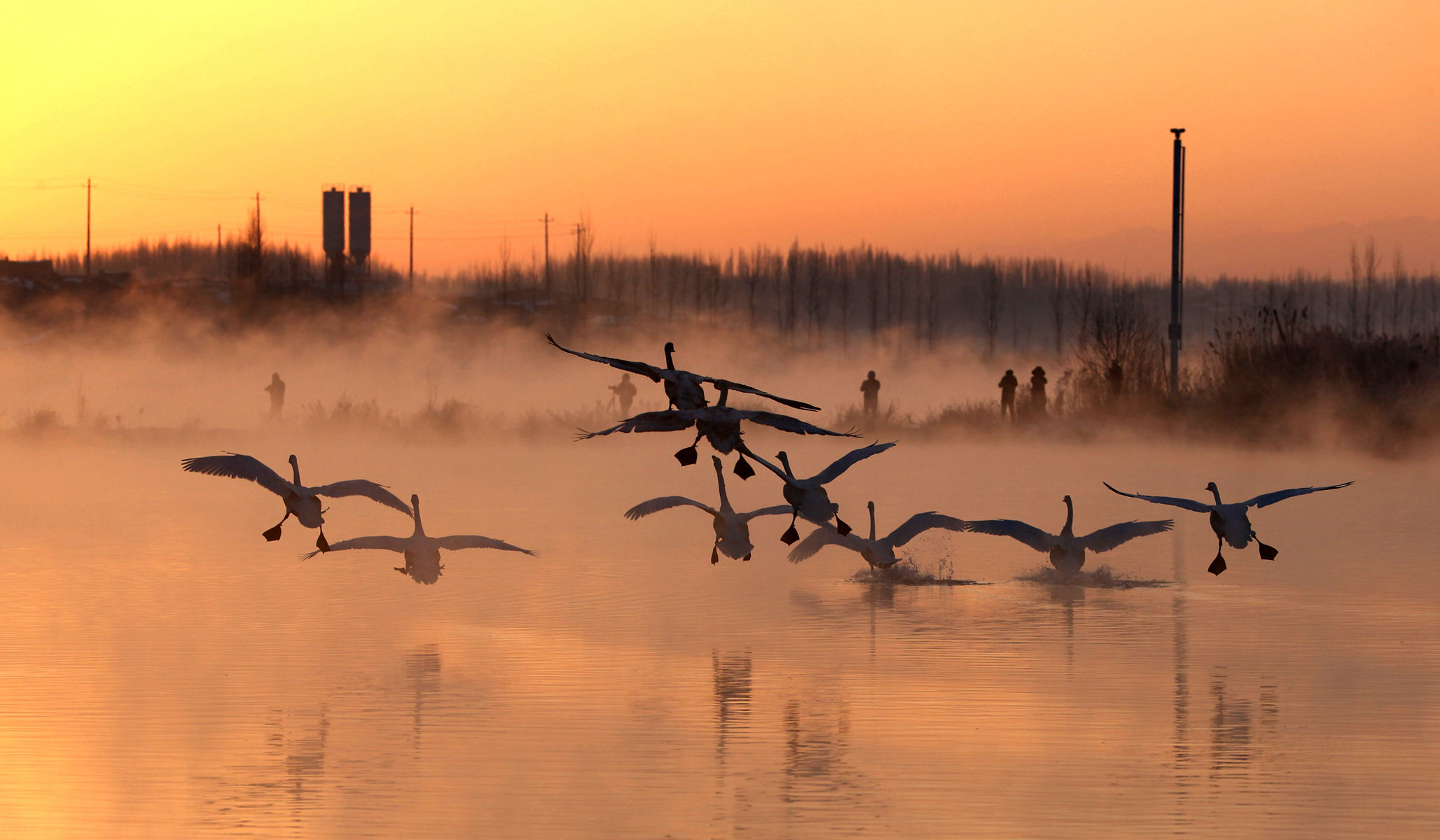 CW2Z4383_���� 1_����.jpg