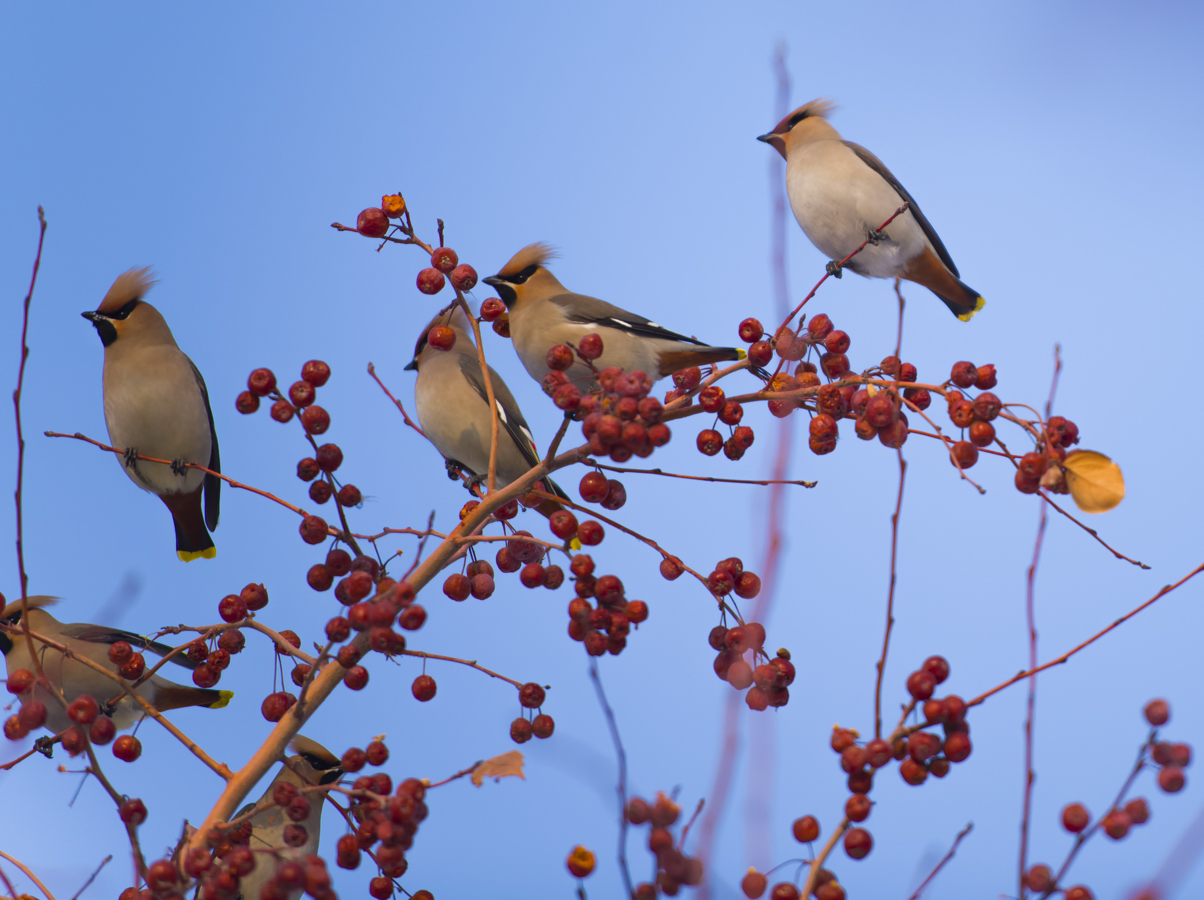 ̫ƽ�����������