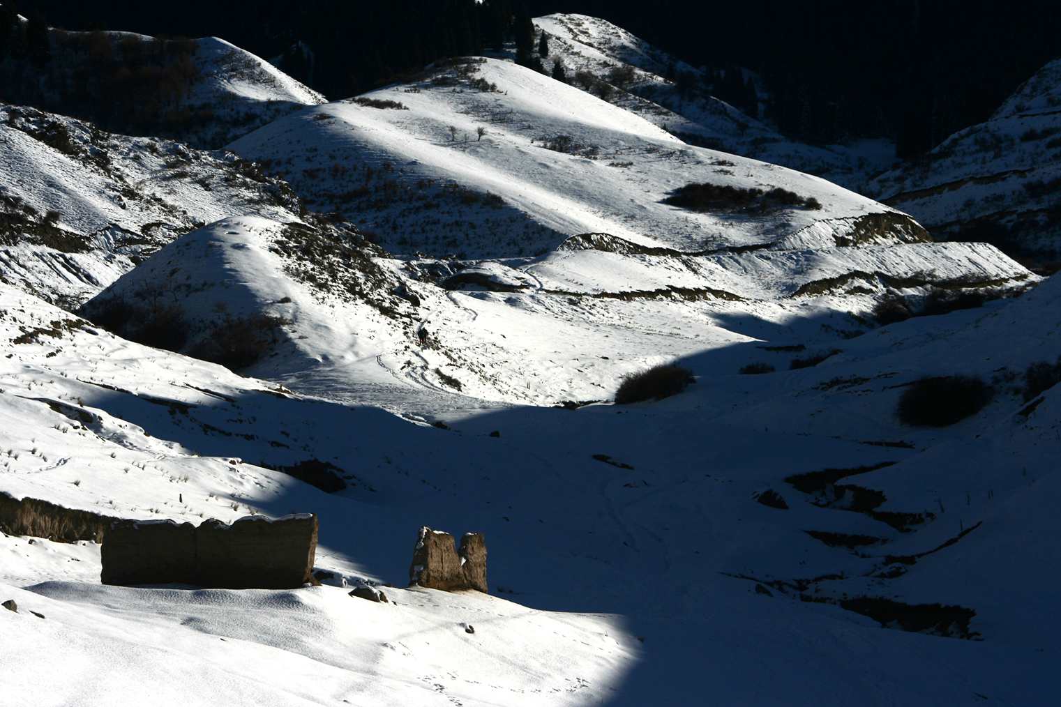 ��Ƭ 103_����.jpg