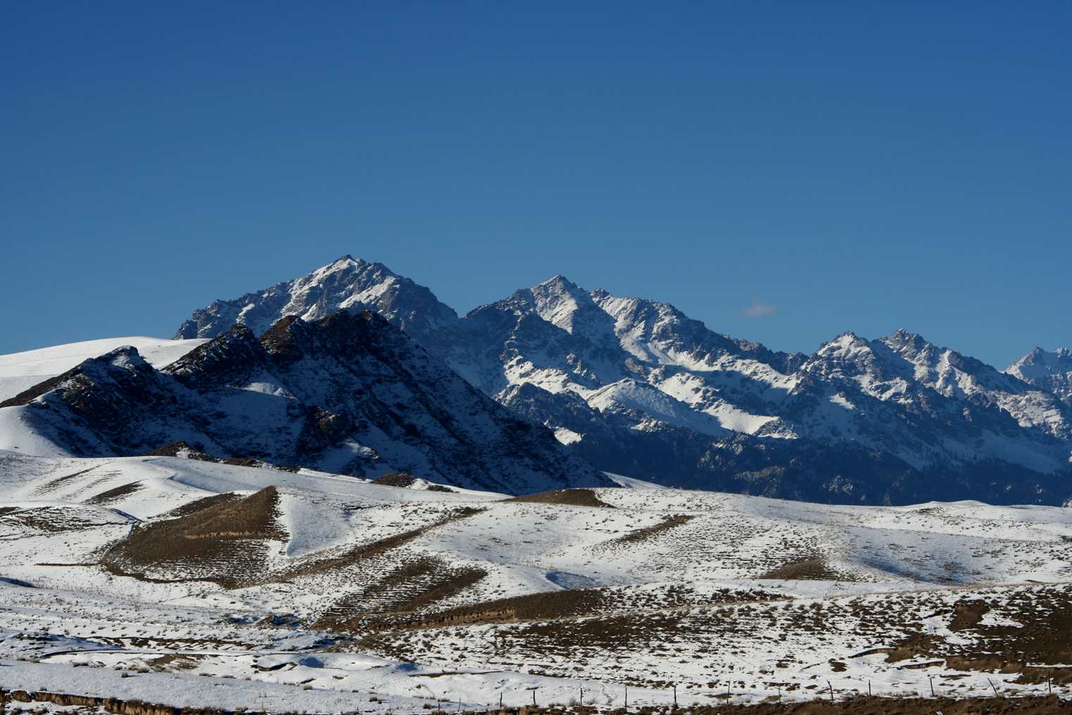 ��Ƭ 149_����.jpg