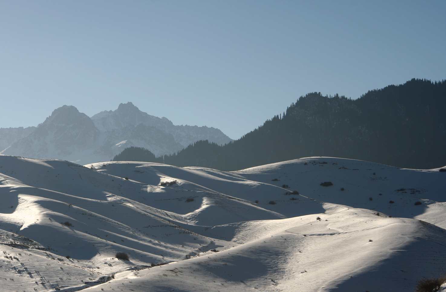 ��Ƭ 156_����.jpg