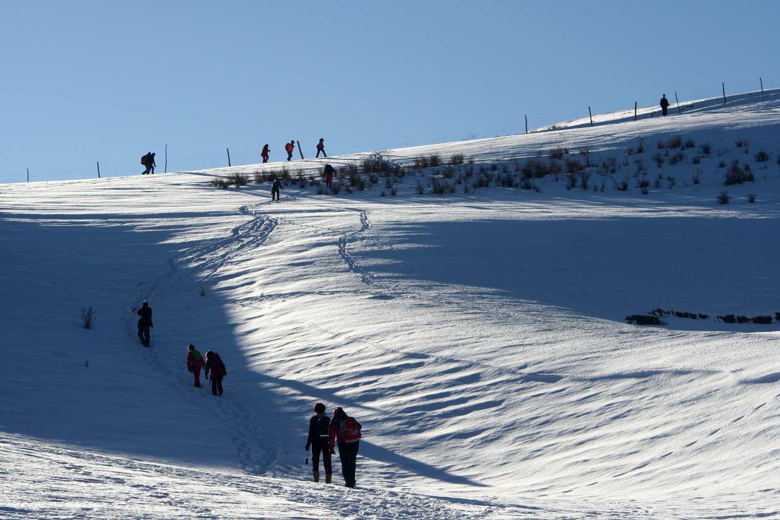 ��Ƭ 175_����.jpg