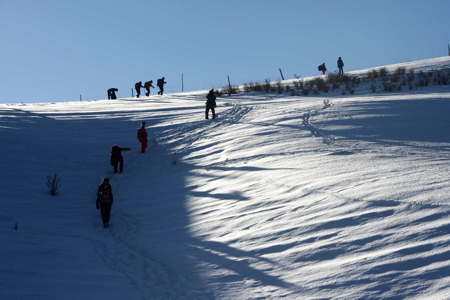 ��Ƭ 177_����.jpg