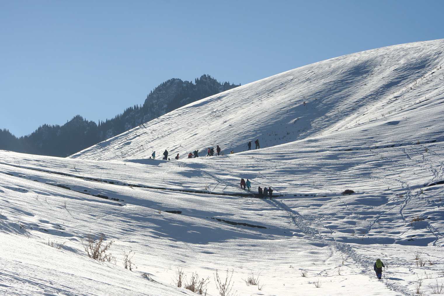 ��Ƭ 200_����.jpg