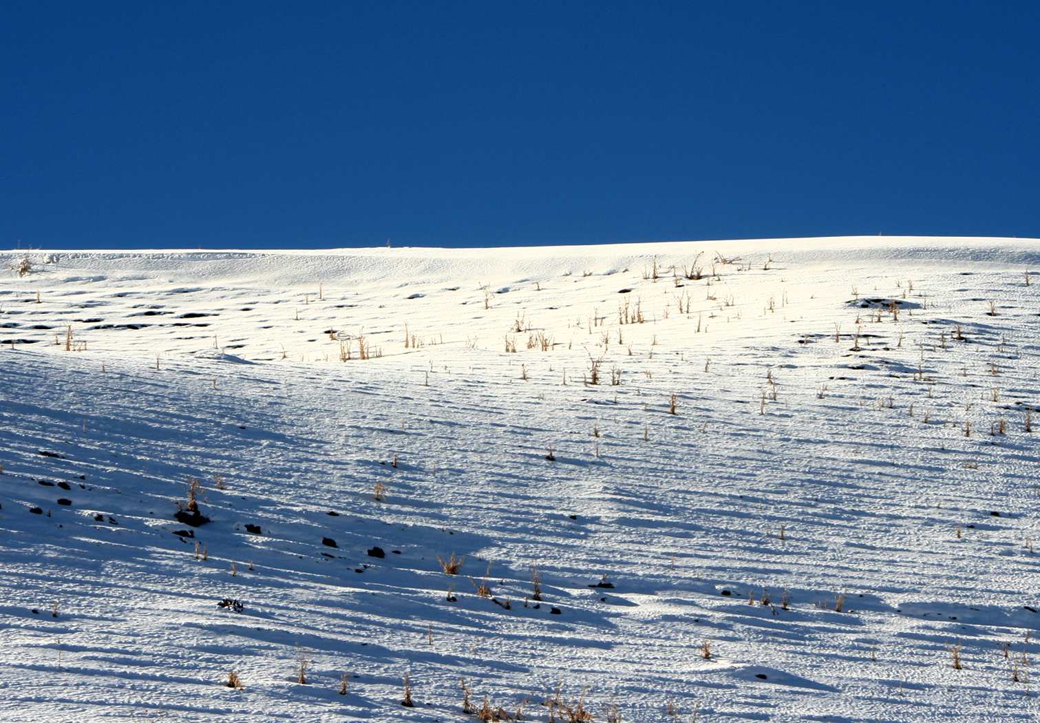 ��Ƭ 204_����2.jpg