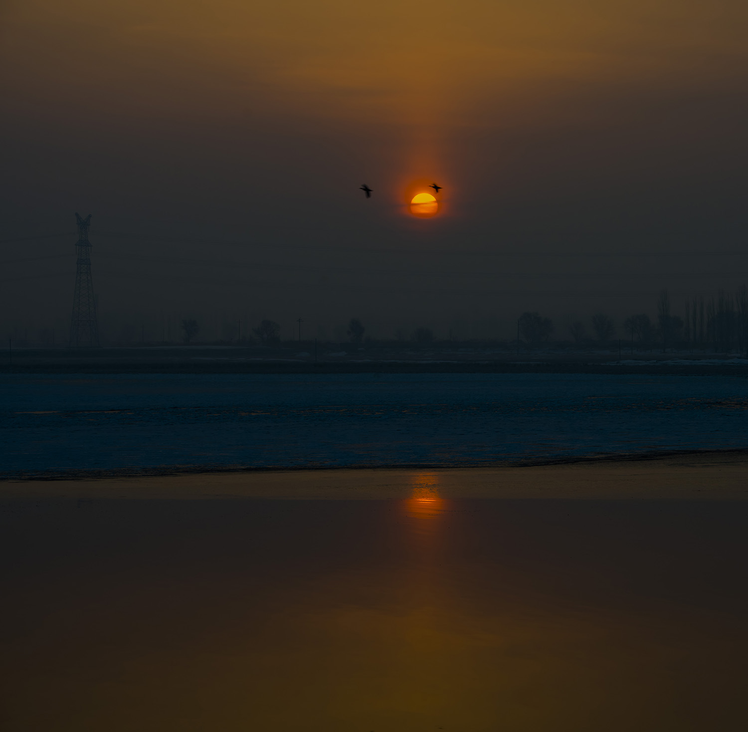 �ڳ����°���