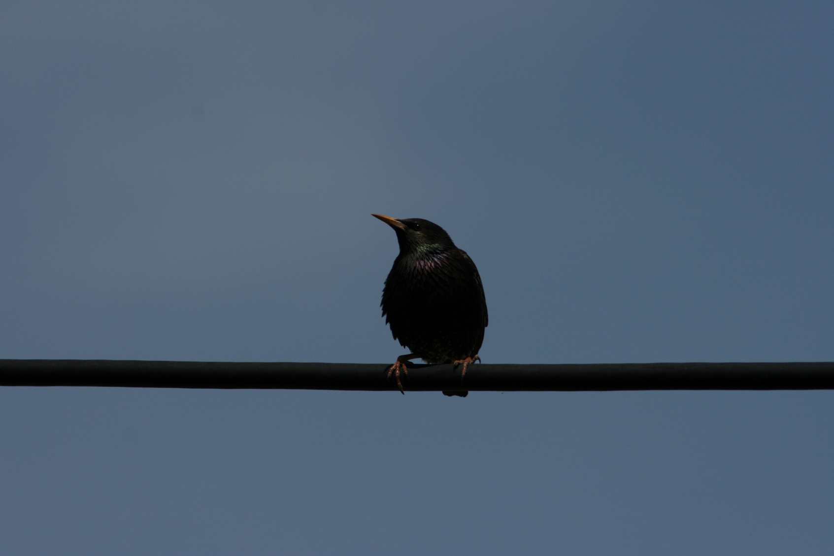 ���͹㳡 001_����.jpg