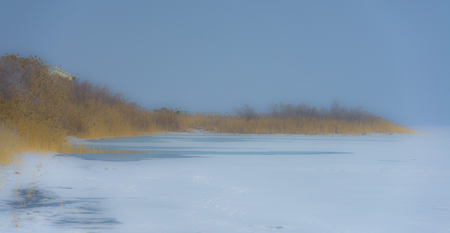 ������ب�Ż�ԭ����