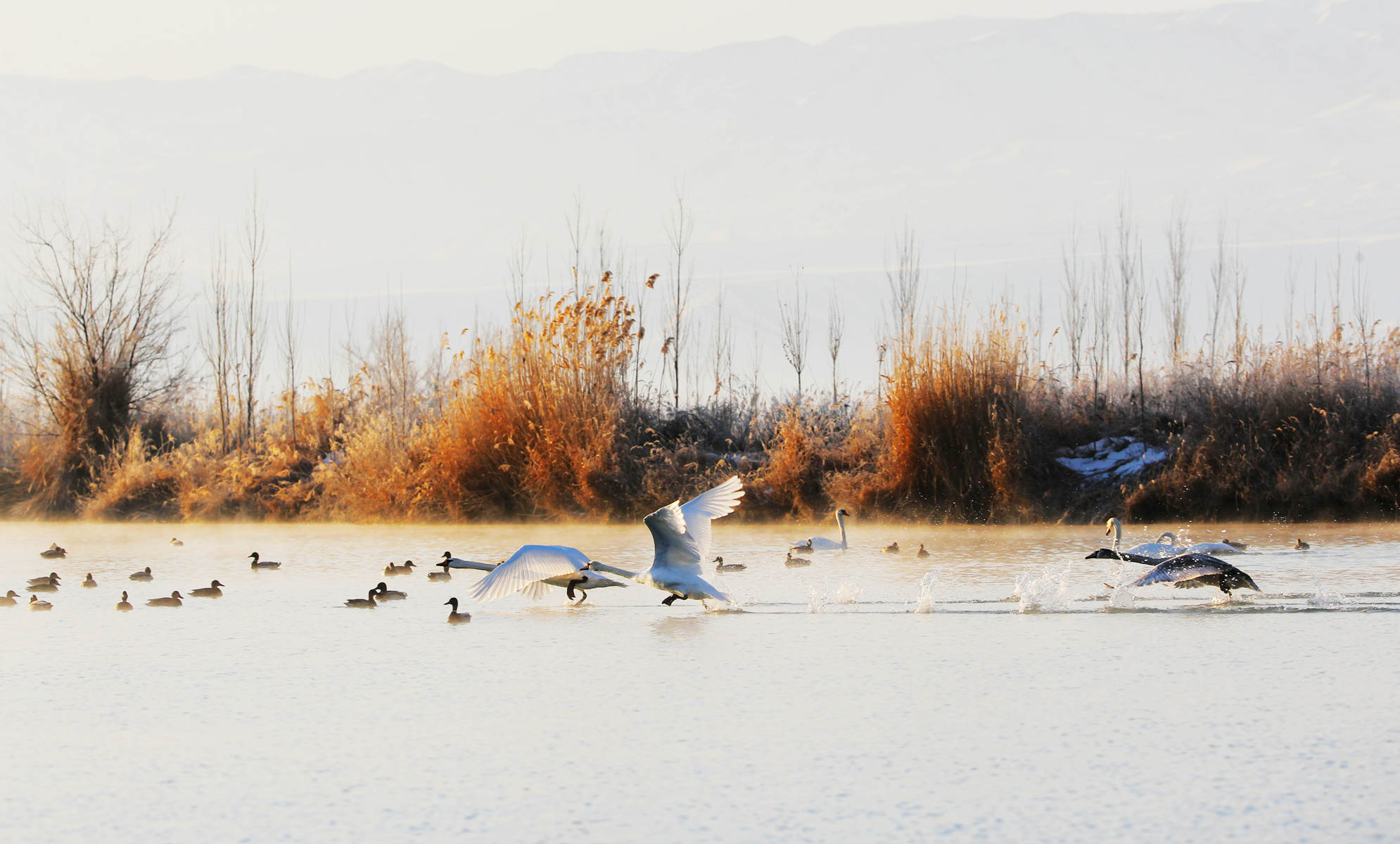 �����죨������ (1).jpg