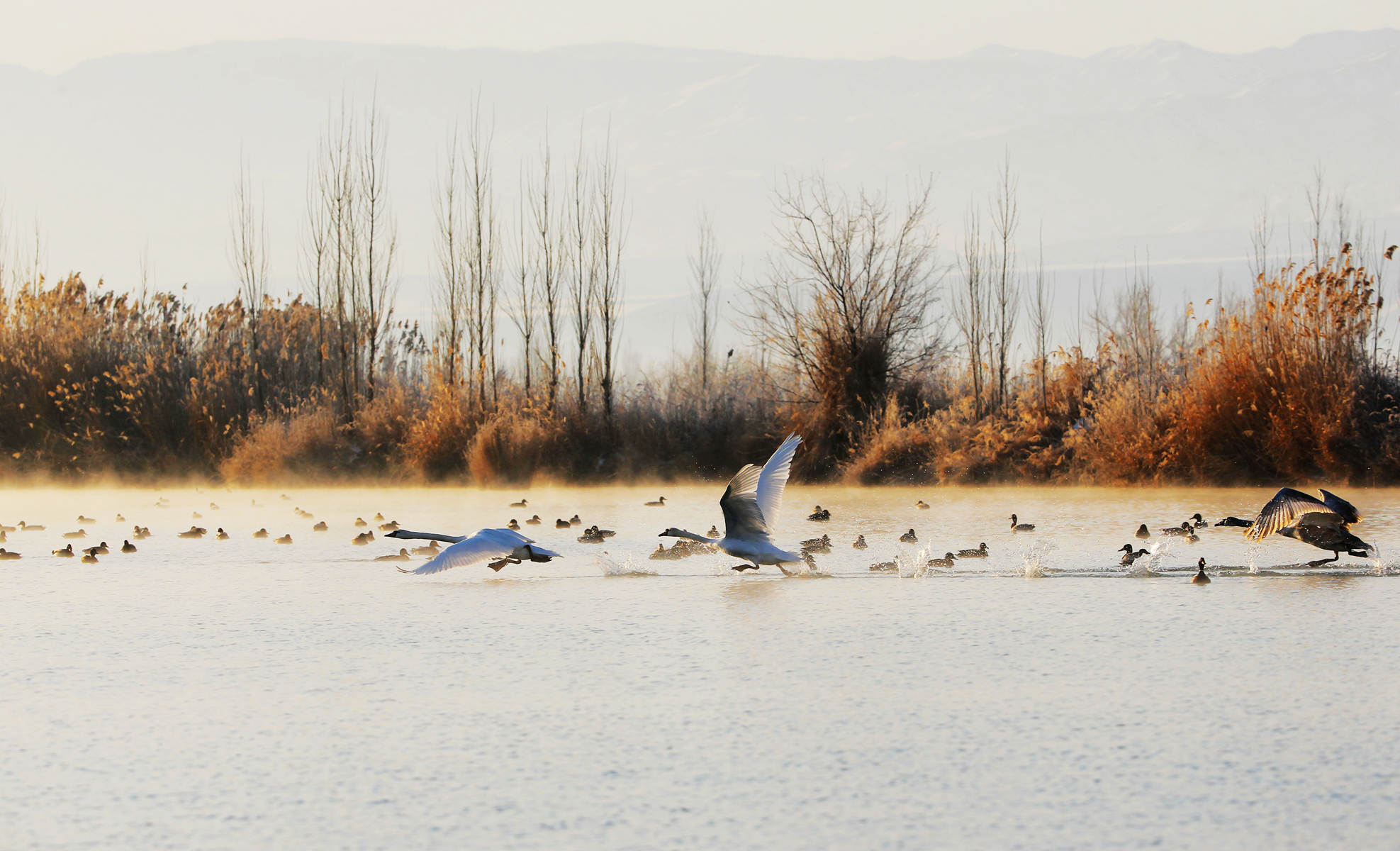 �����죨������ (2).jpg