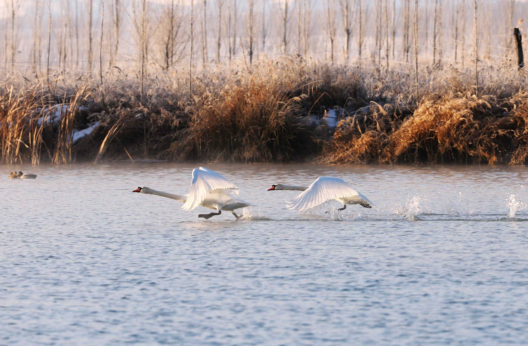 �����죨������ (3).jpg