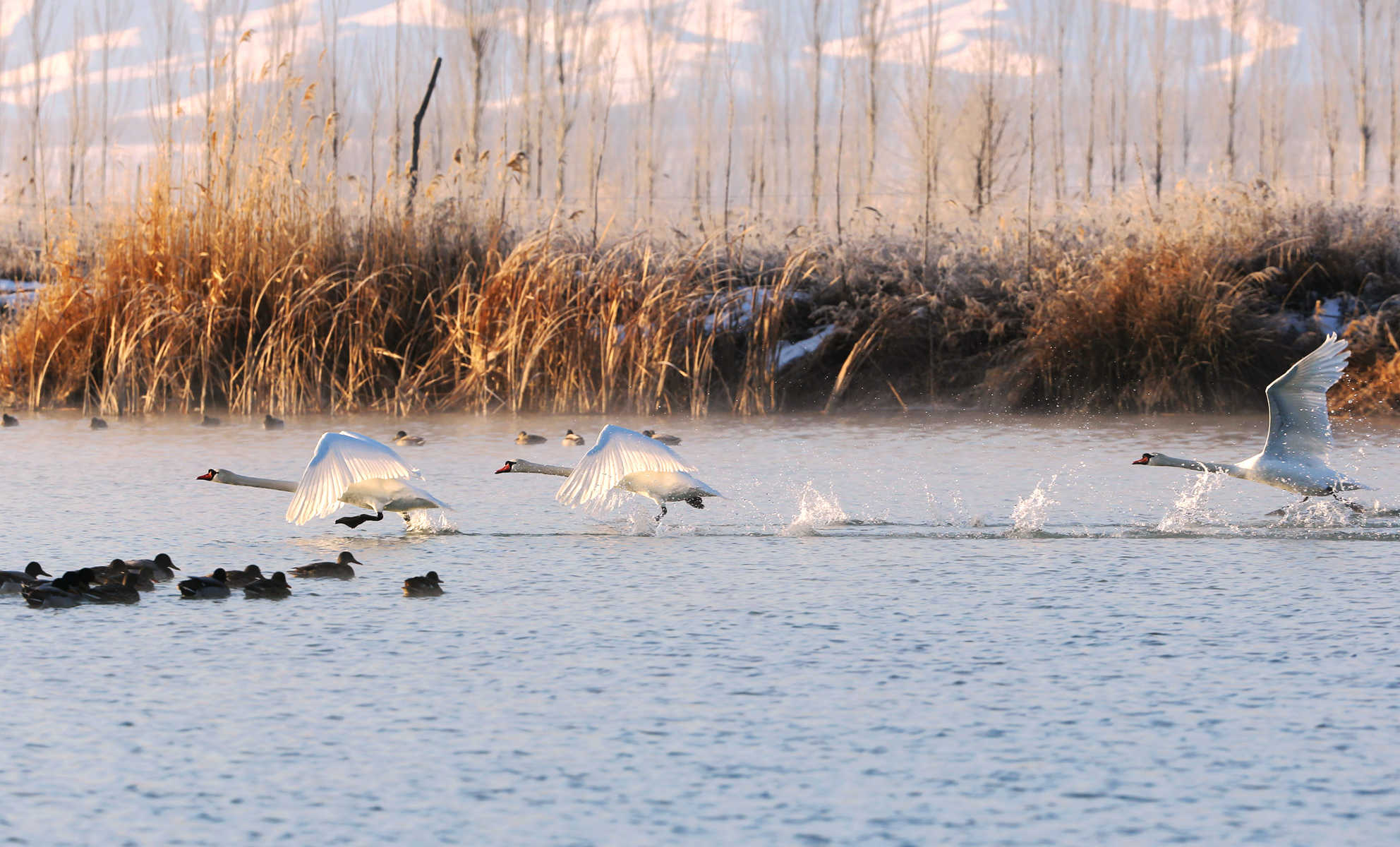 �����죨������ (4).jpg