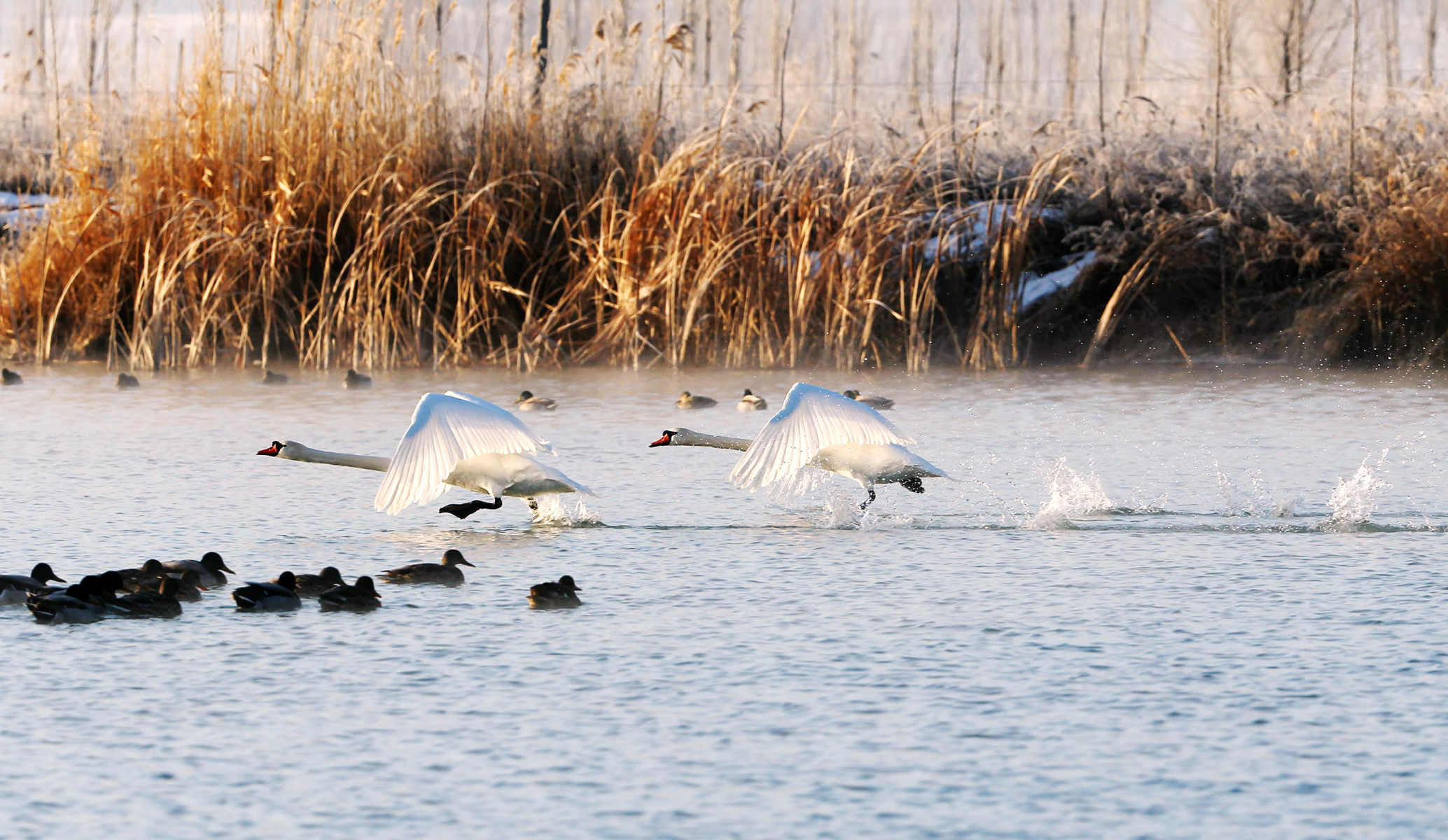 �����죨������ (5).jpg