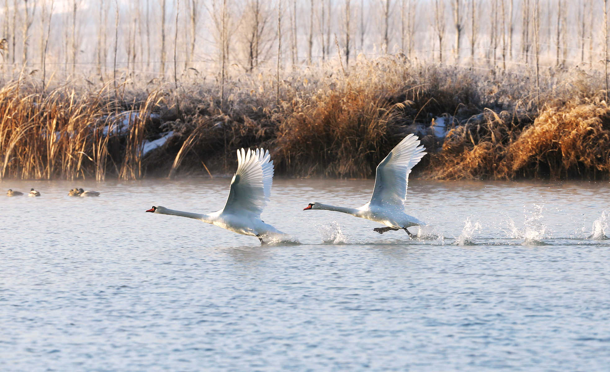 �����죨������ (6).jpg