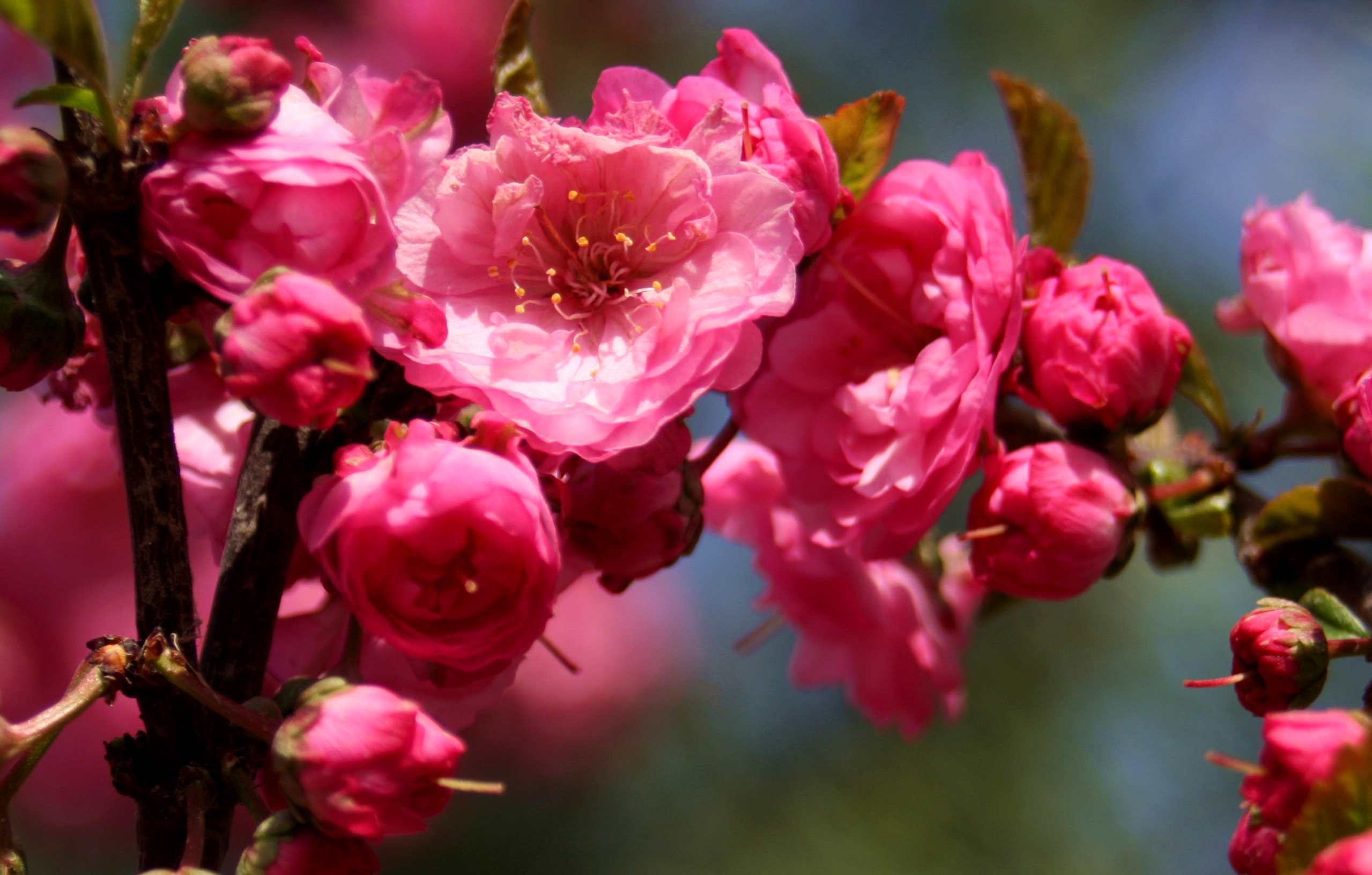 ���͹㳡 049_����.jpg