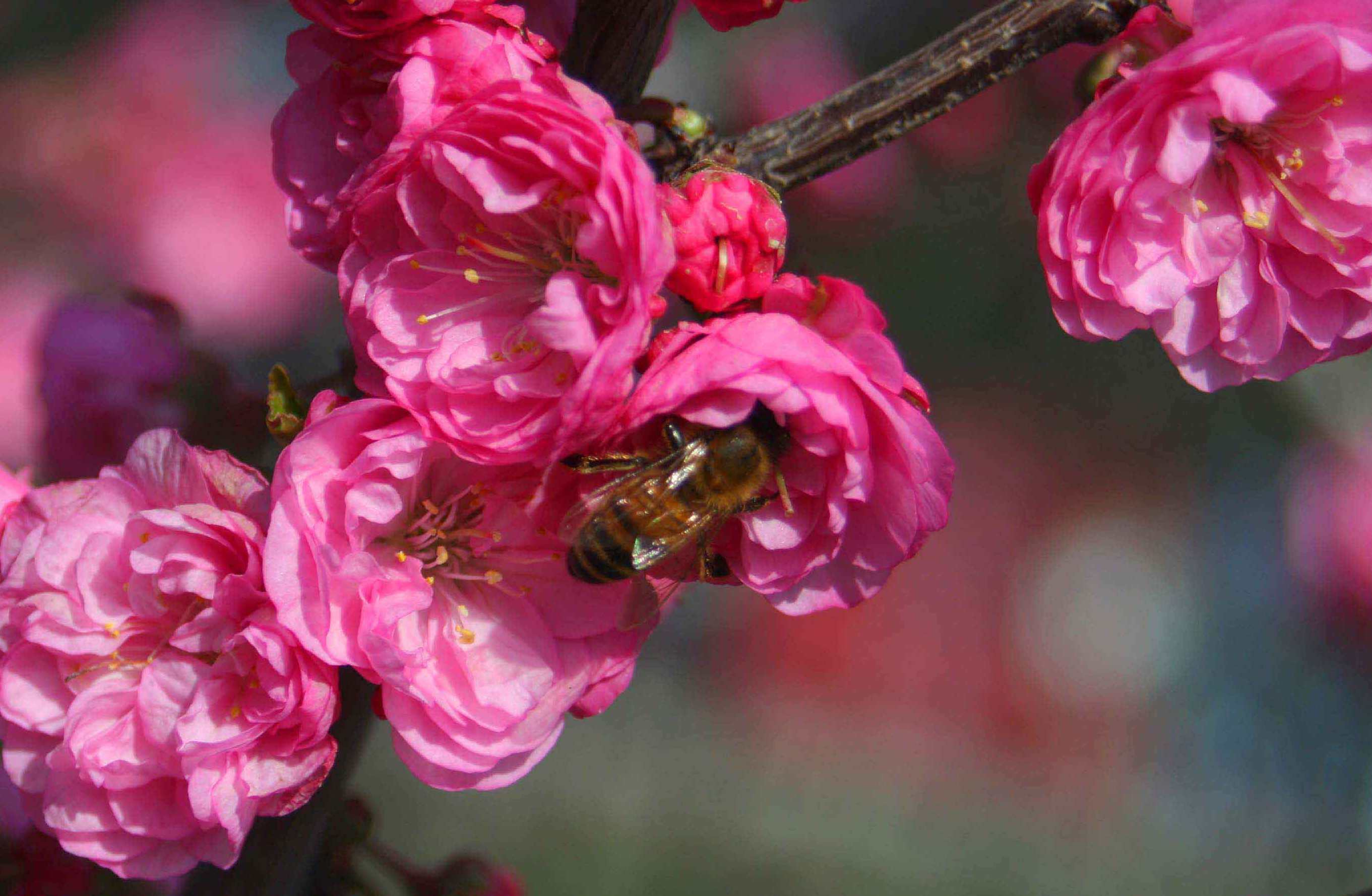 ���͹㳡 044 ����_����1.jpg