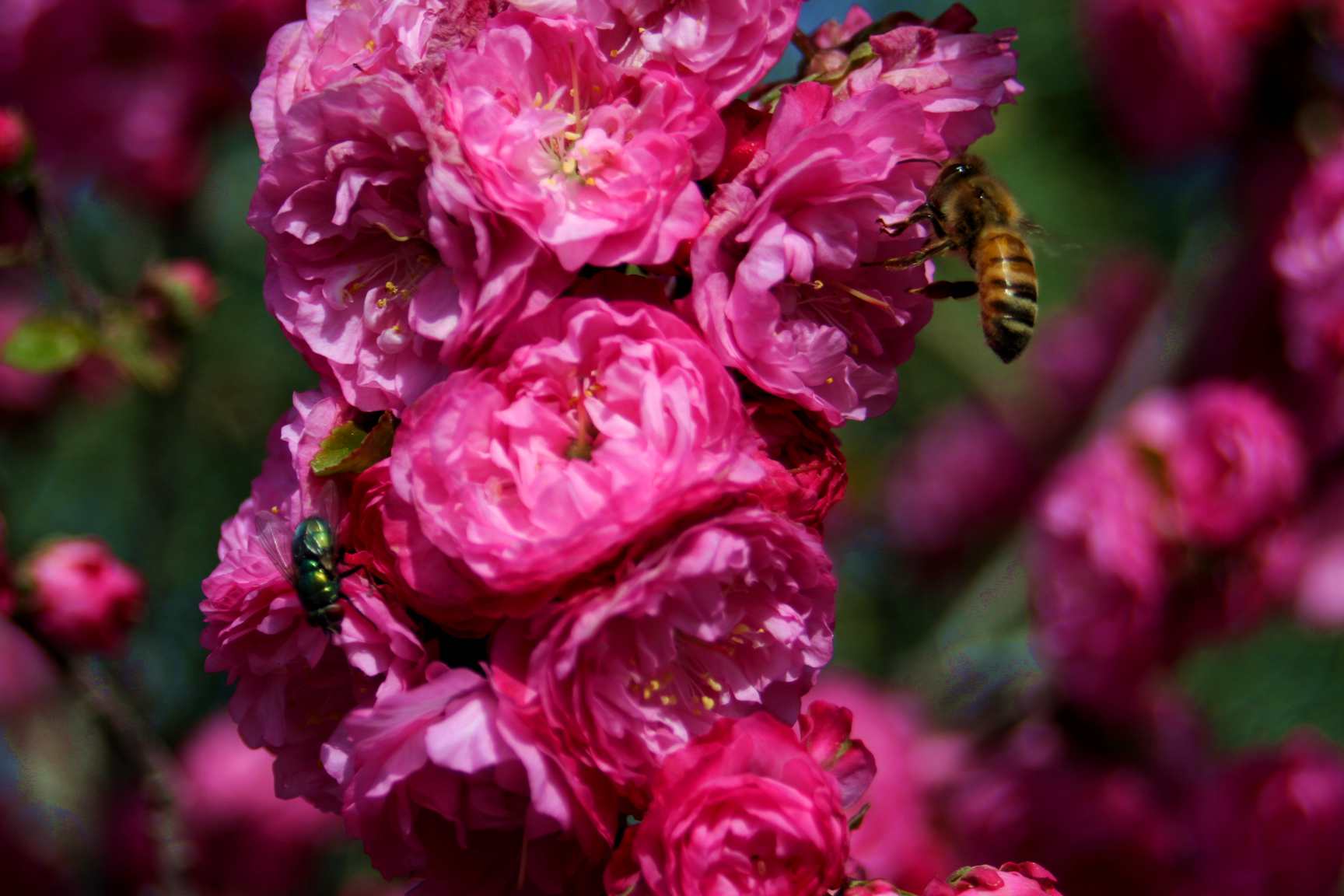 ���͹㳡 048_����1.jpg