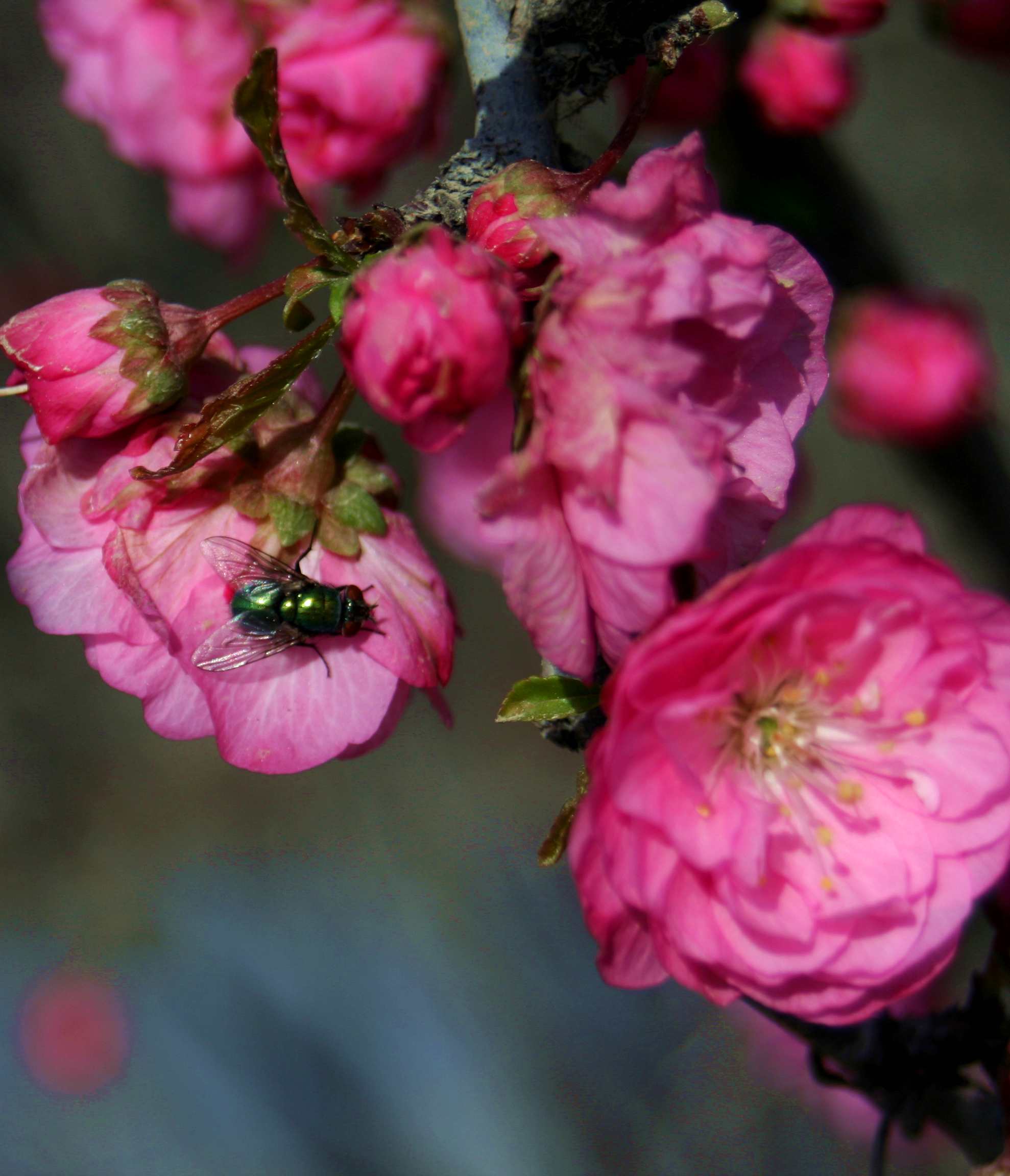 ���͹㳡 054_����.jpg