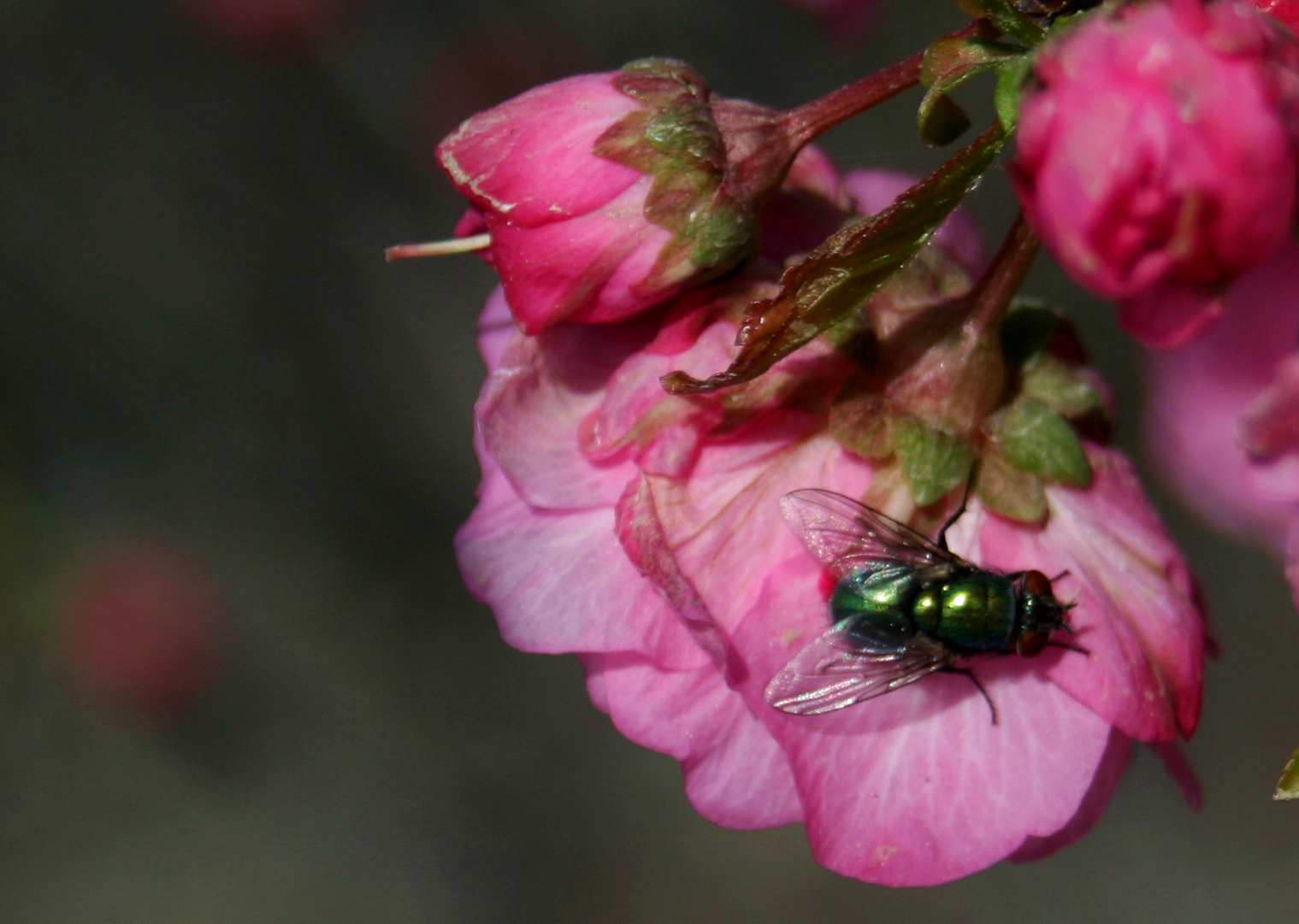 ���͹㳡 054_����1.jpg