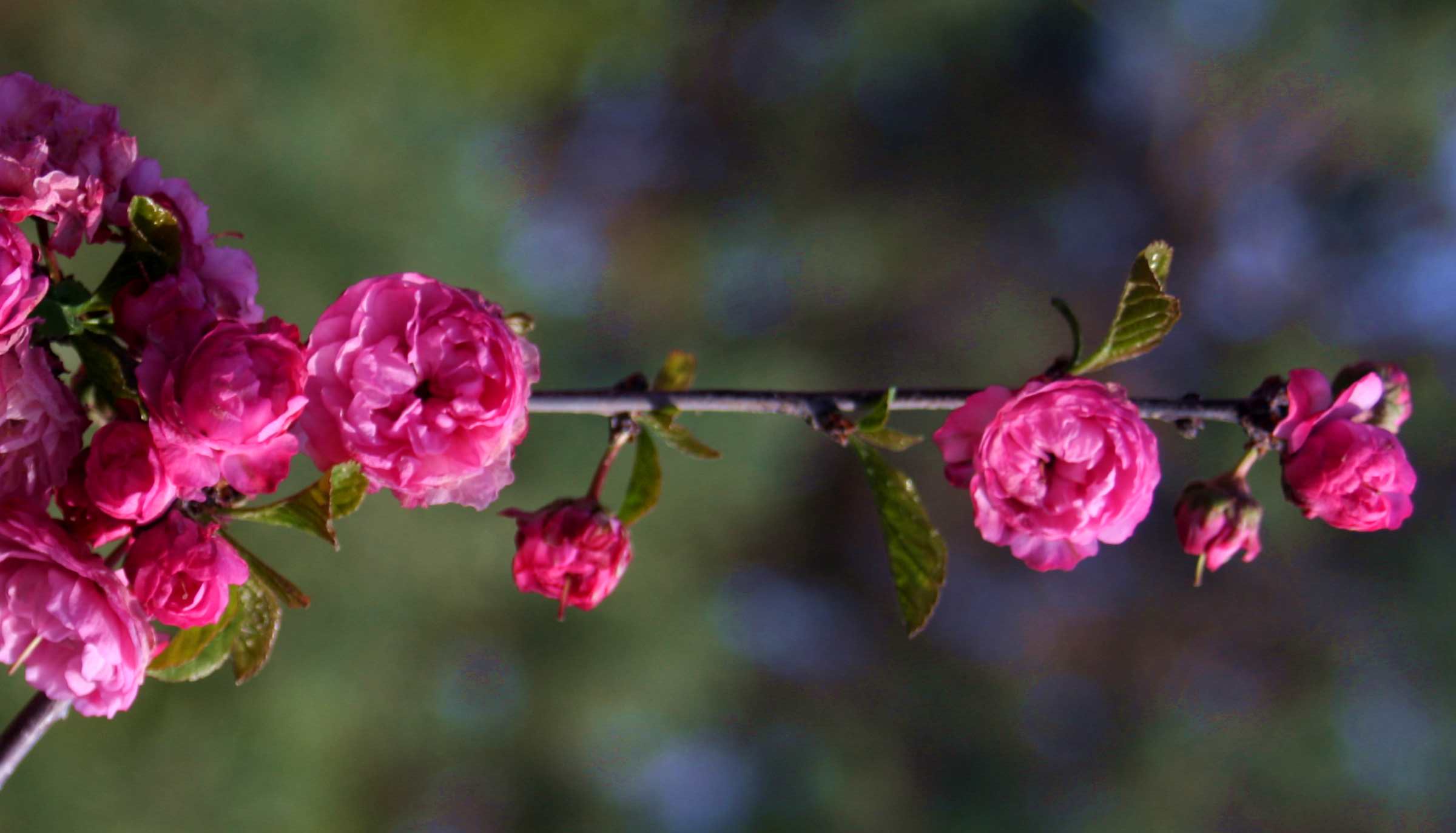 ���͹㳡 015_����.jpg