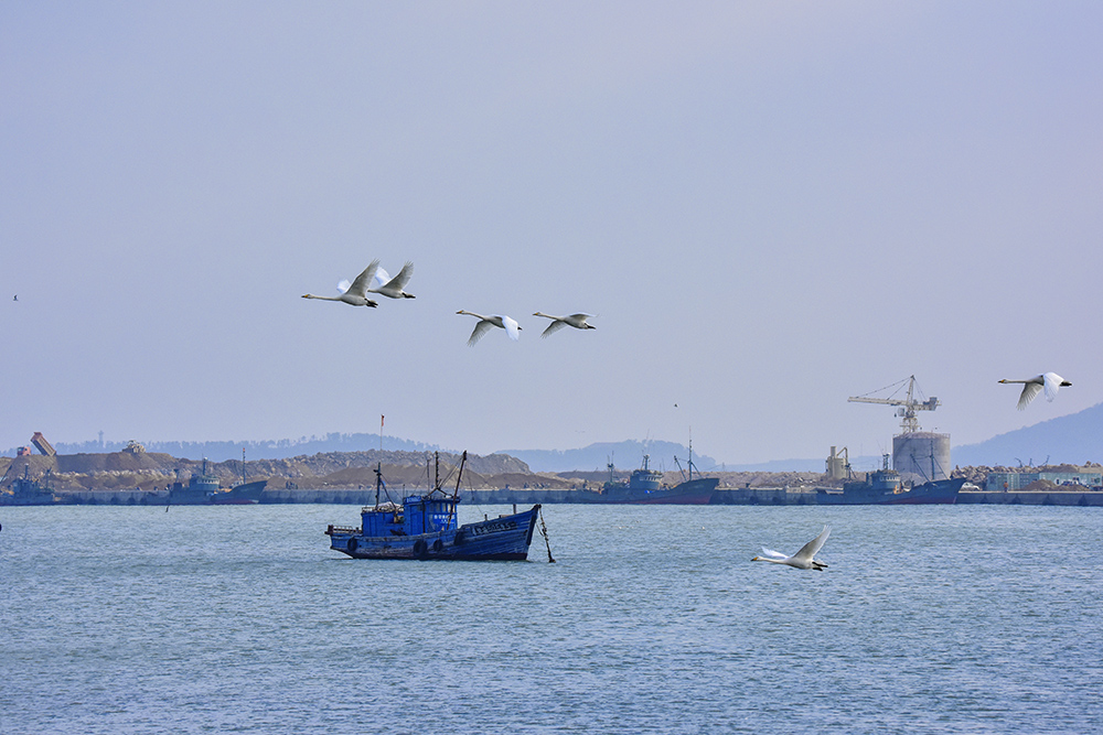 2015��1��12��ɽ�� a2601.jpg