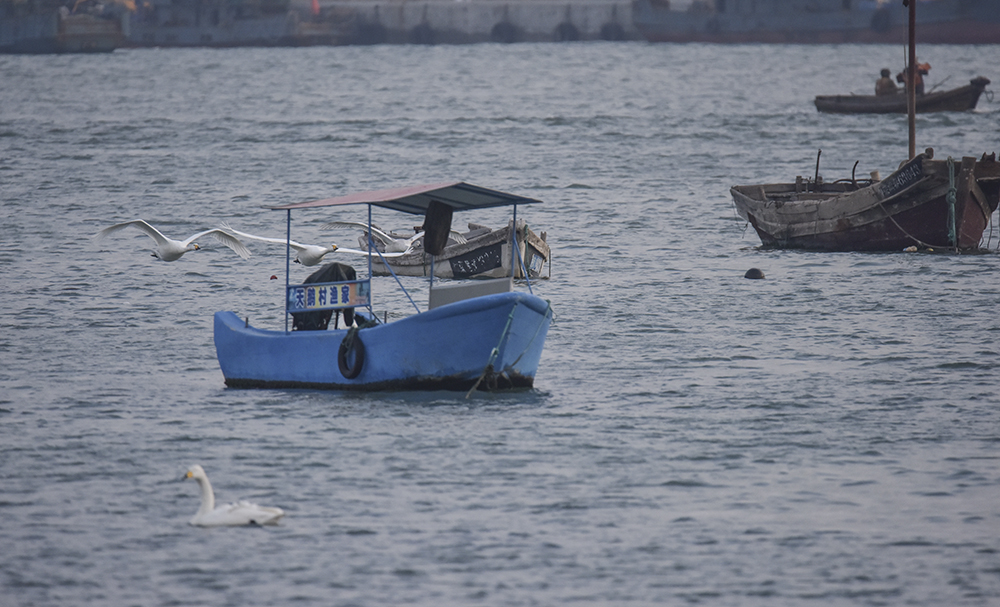 2015��1��12��ɽ�� a6901.jpg