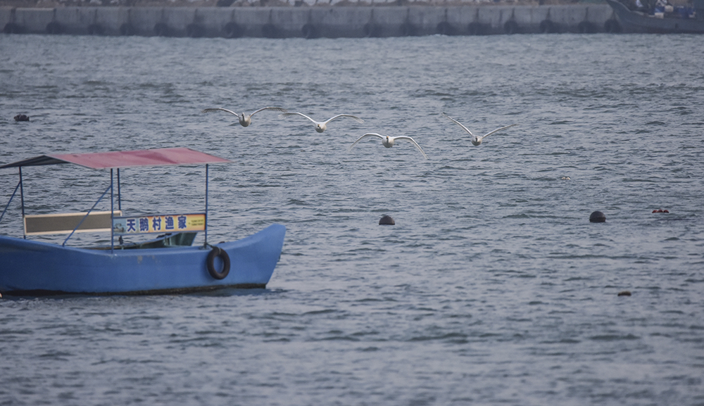 2015��1��12��ɽ�� a6801.jpg