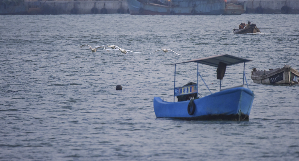 2015��1��12��ɽ�� a6761.jpg