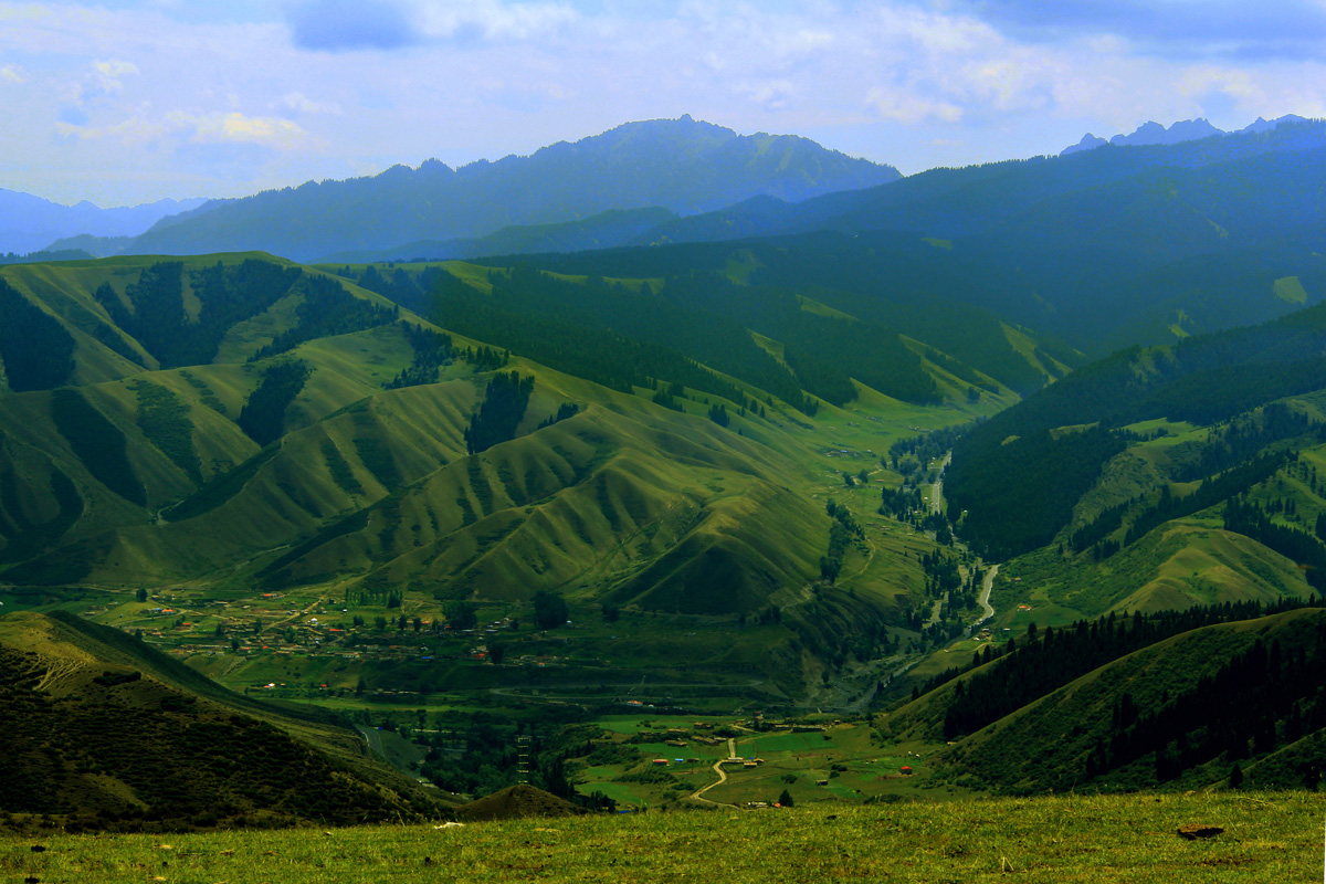 �����Ӱ������ (1).jpg