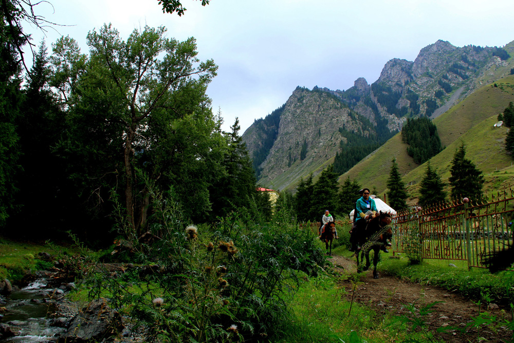 �����Ӱ������ (2).jpg