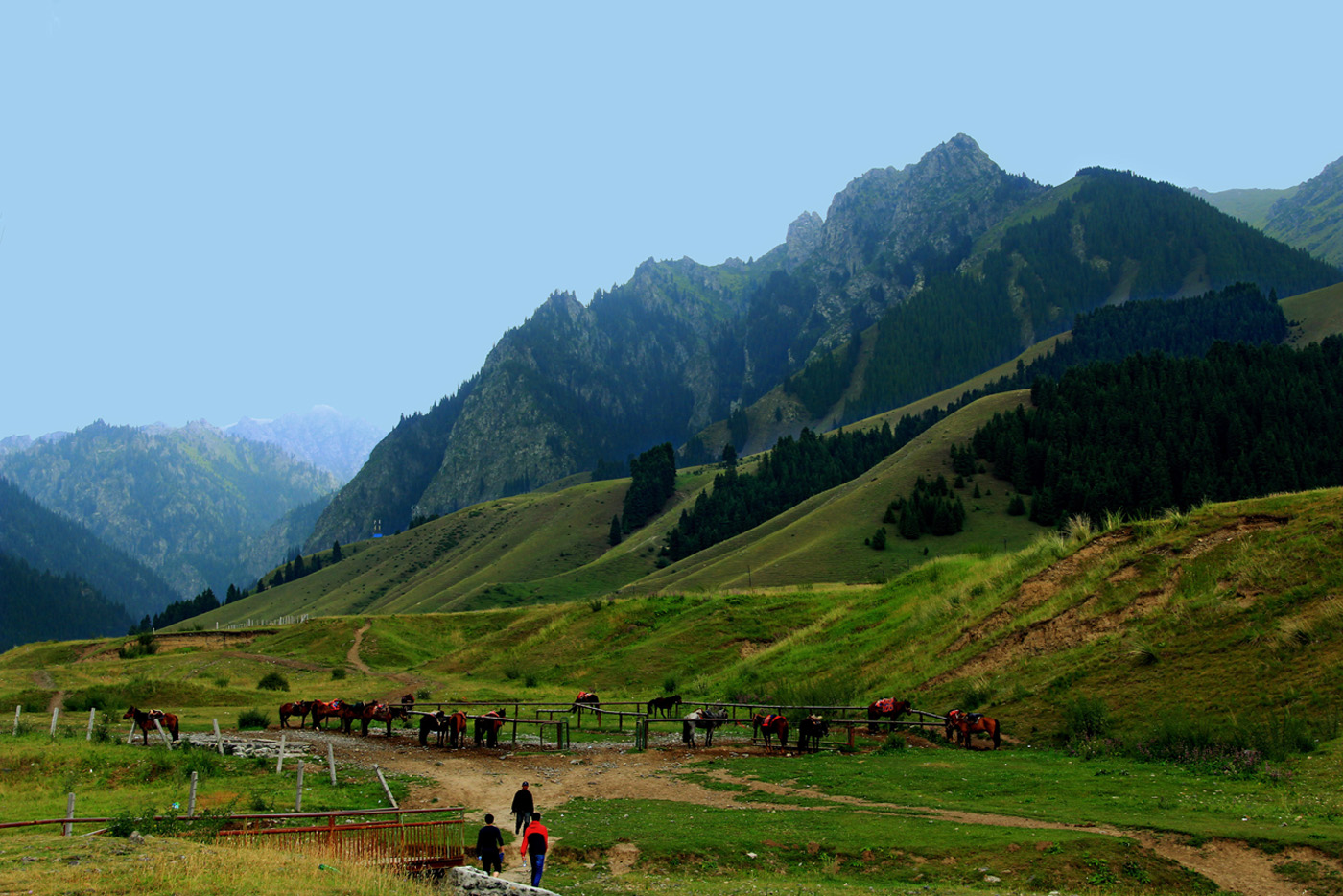 �����Ӱ������ (3).jpg