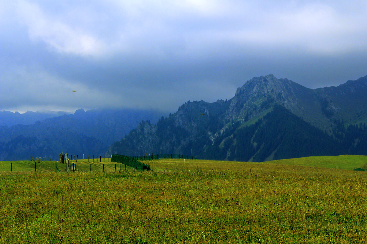 �����Ӱ��һ��- (2).jpg