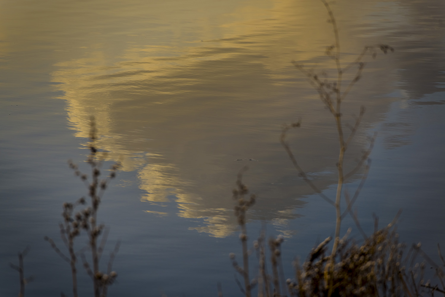 ʲô���Ǹ���