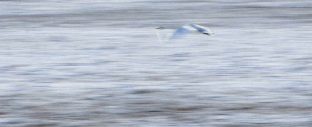 ���ܵ������ʳ��