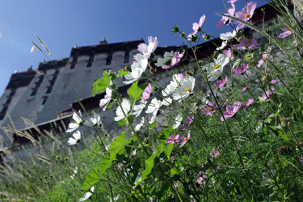 ��ʥ·�� (11).JPG