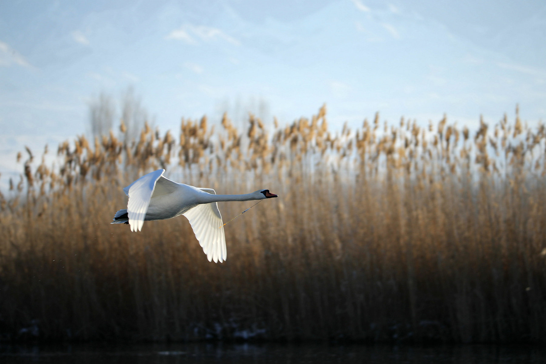 Ϊʲô���� (2).jpg