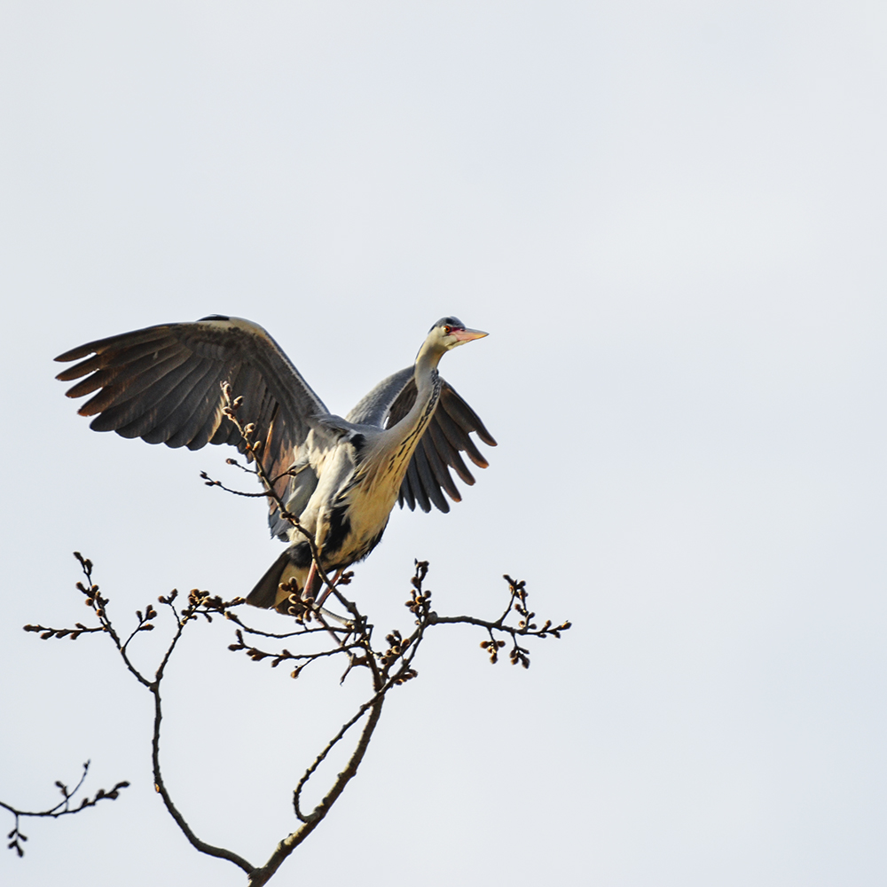 2015��3��16��ˮĥͷ�� a1821.jpg