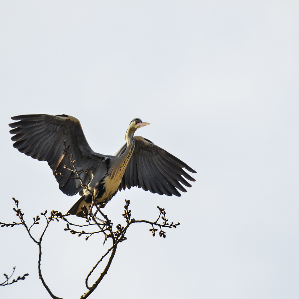 2015��3��16��ˮĥͷ�� a1841.jpg