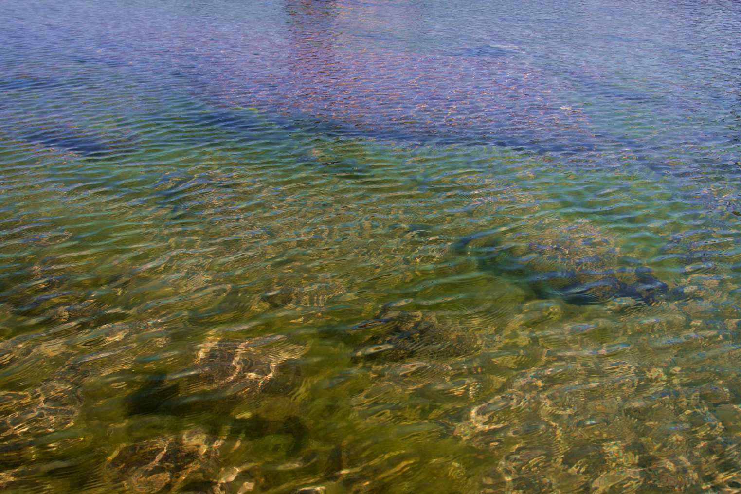 ��Ƭ 049_����.jpg