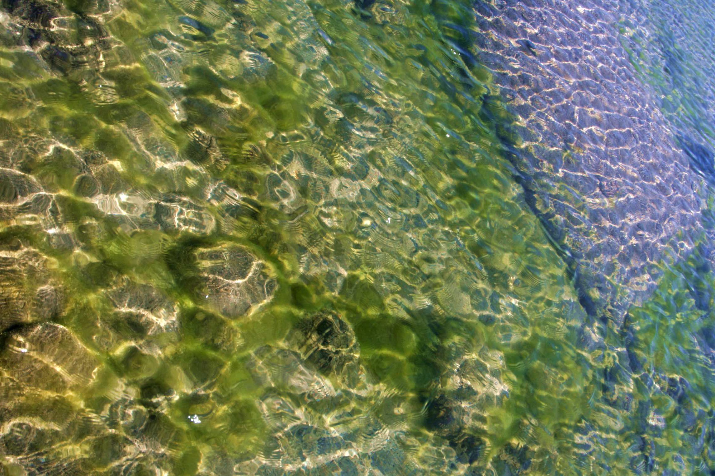 ��Ƭ 054_����.jpg