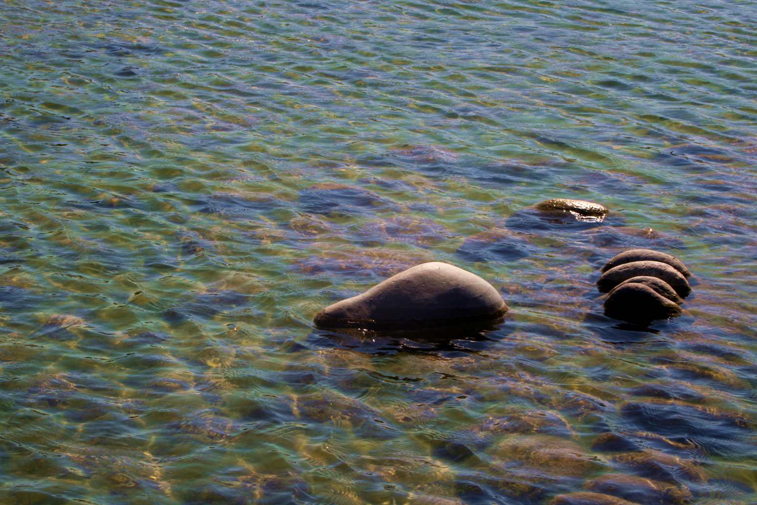 ��Ƭ 059_����.jpg