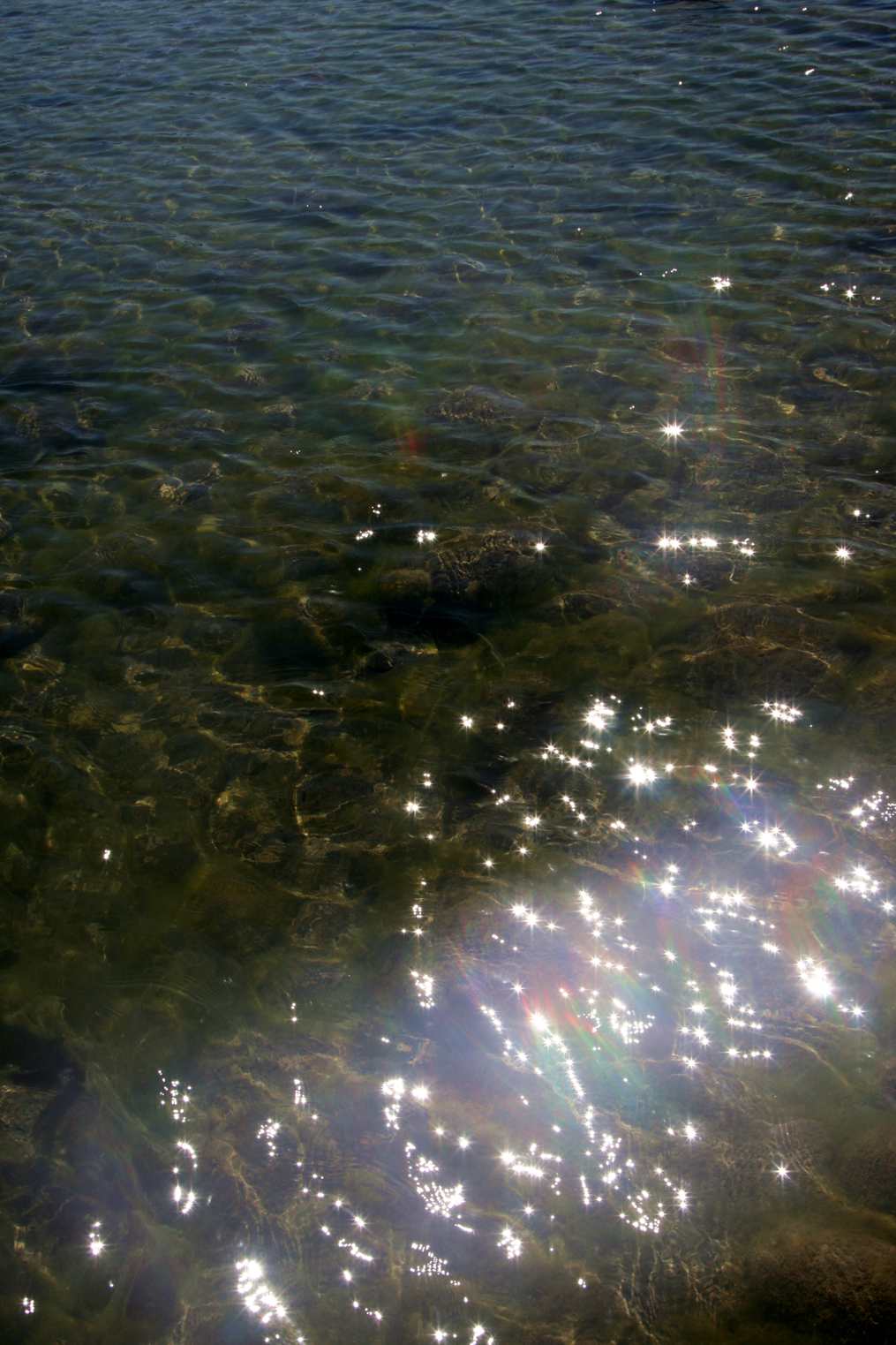 ��Ƭ 056_����.jpg