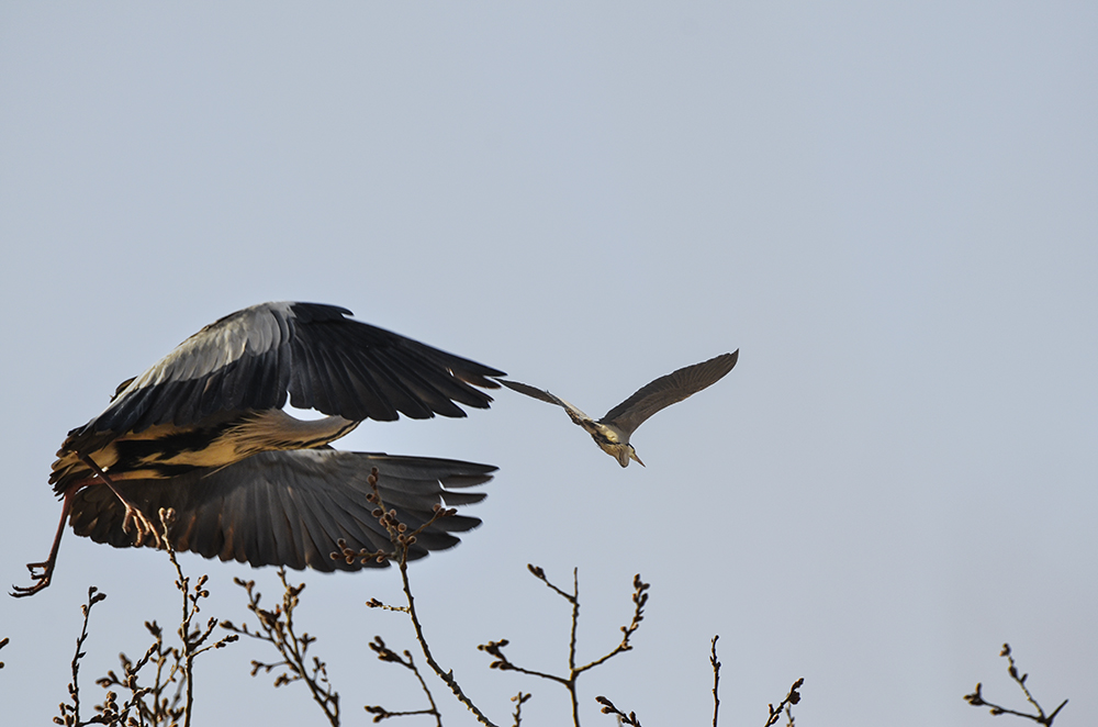 2015��3��16��ˮĥͷ�� aa0491.jpg