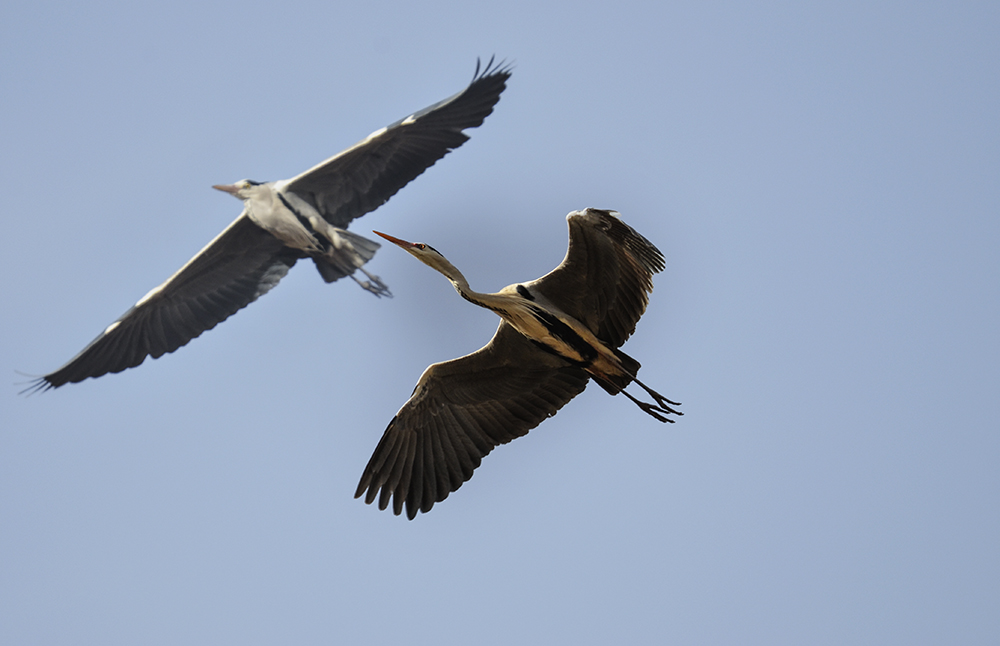 2015��3��16��ˮĥͷ�� aa1051.jpg