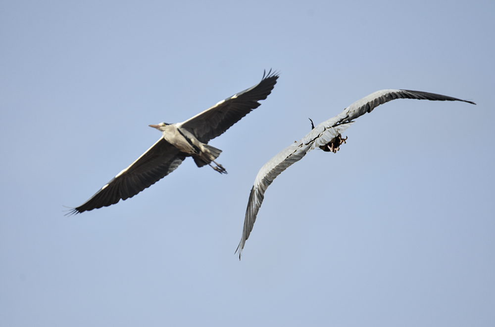 2015��3��16��ˮĥͷ��a 4841.jpg