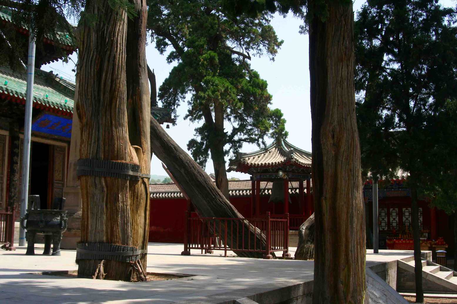 ������ (289) ����_����.jpg