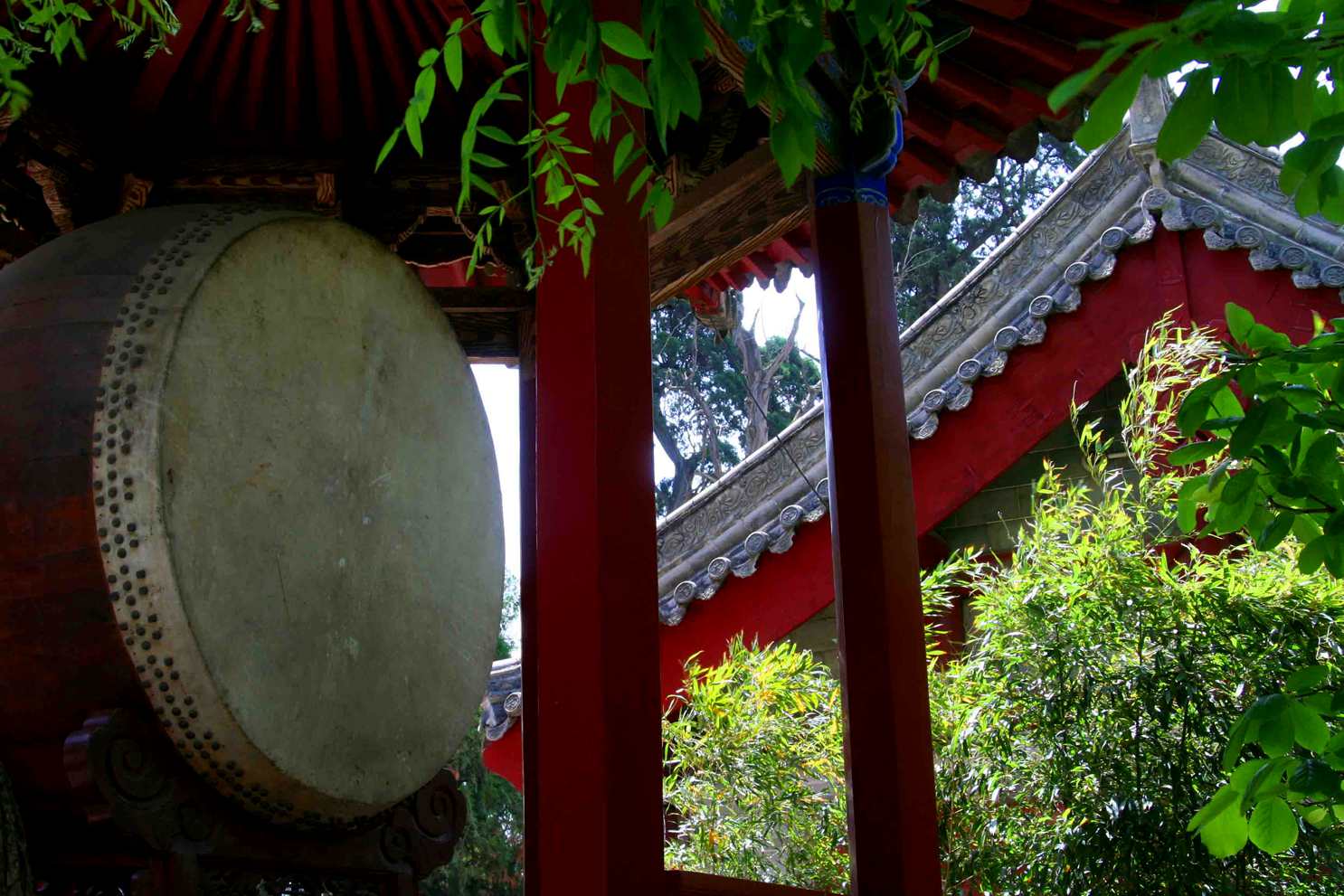 ������ (291) ����_����.jpg