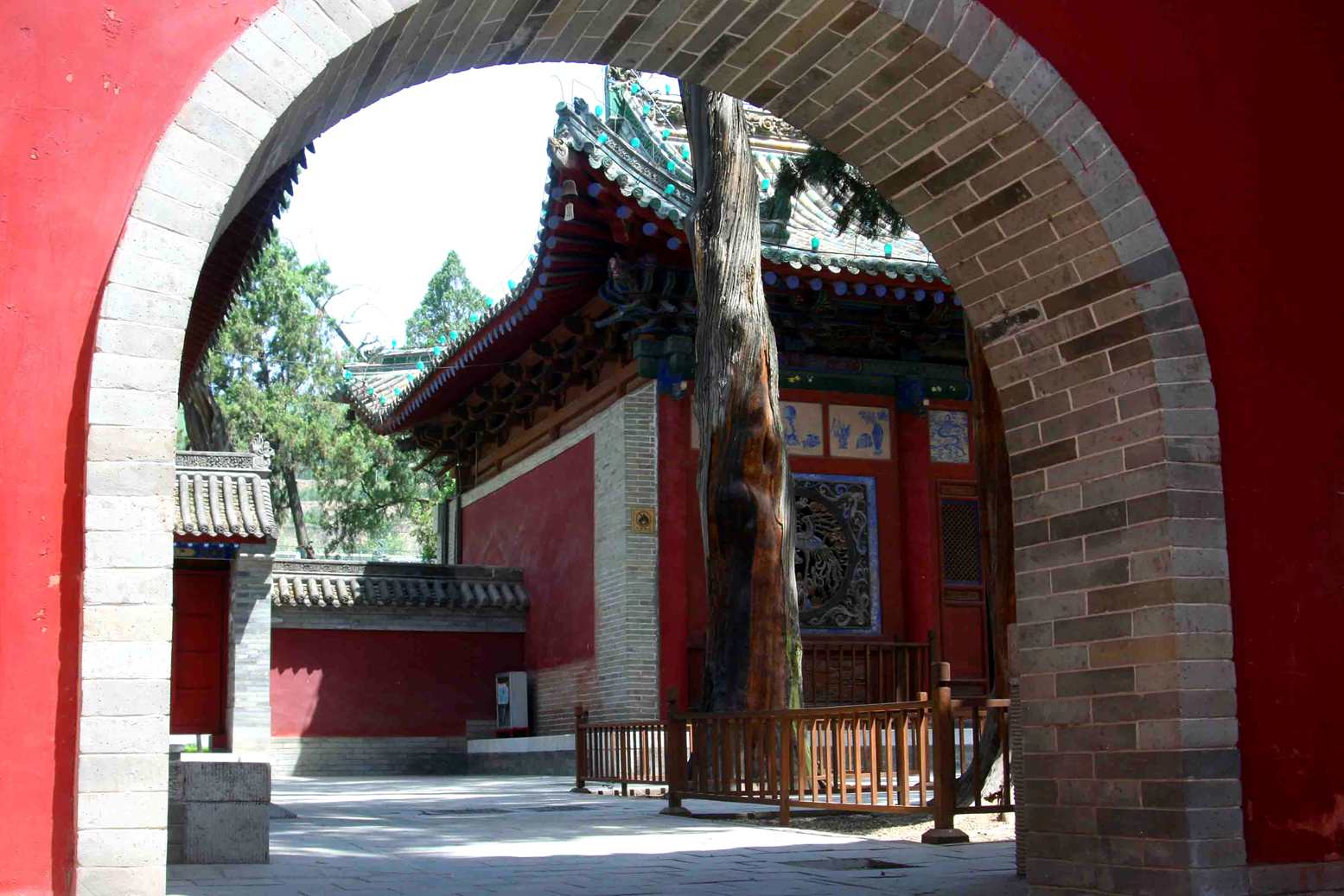 ������ (293) ����_����.jpg