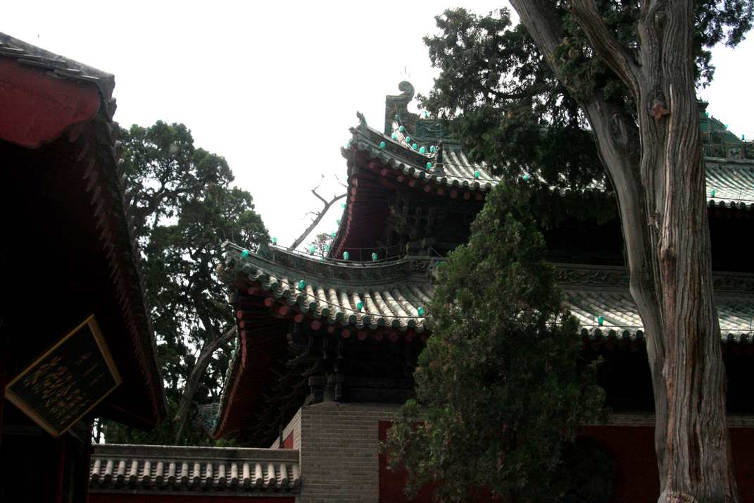 ������ (299)_����.jpg