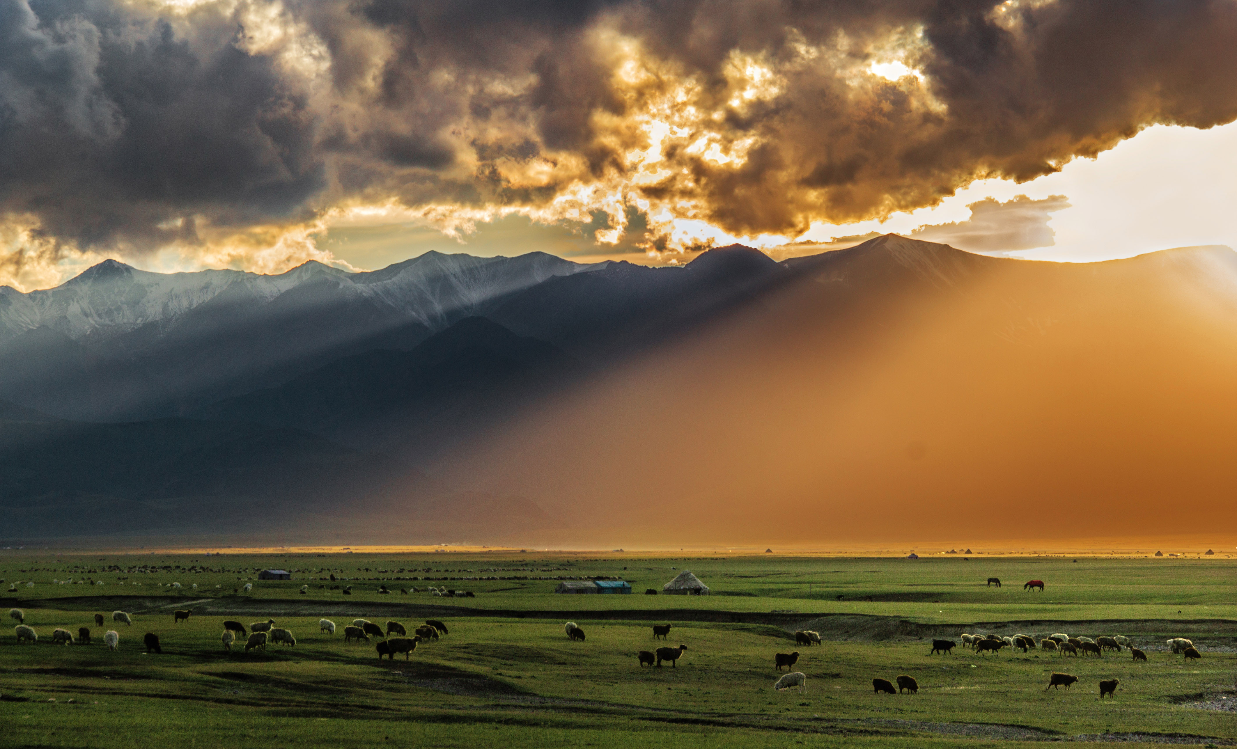 ����ԭ  ����ΰ 15299089398.jpg